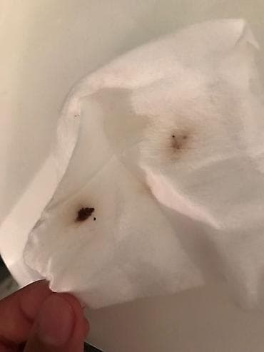 Другие услуги: Дезинфекция, дезинсекция, | Клопы, Блохи, Тараканы, | Транспорт, Офисы, Квартиры — 8