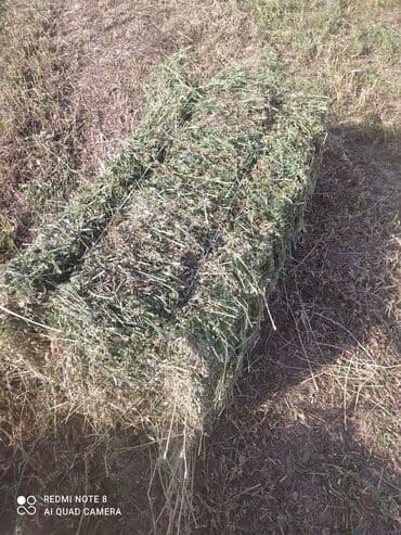 купить измельчитель травы и сена: Продаю тюки чистый клевер второй и третий кос без доставки с места — 4