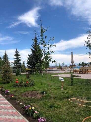 сдаю дом без хозяина старый толчок: Коттедж, Париж 2 | Париж, Чок-Тал, Бассейн, Унаа токтотуучу жай, унаа туруучу жай, Балдар аянтчасы — 3
