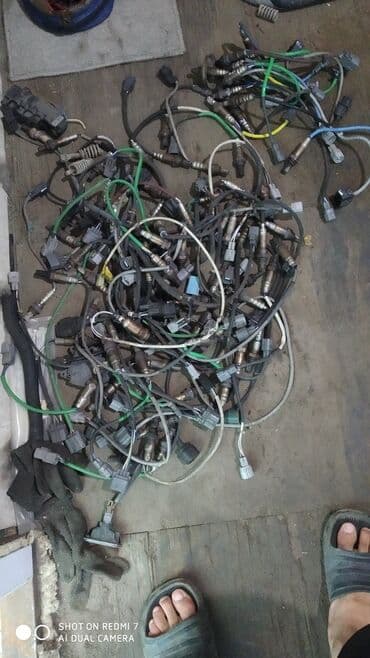 Транспорт: Продаю лямдазонды оптом — 1