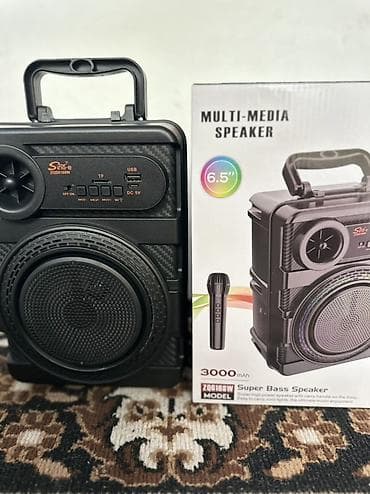 Аудиотехника: Портативная акустическая система Sing-e ZQS6168W (6.5") - Динамик — 6