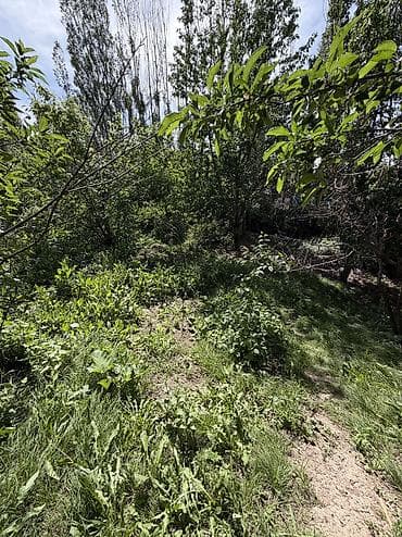 дом арча бешик: 6 соток, Курулуш, Кызыл китеп, Техпаспорт — 9