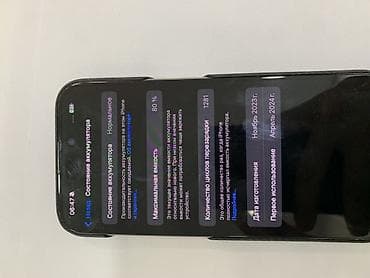 ipad mini: IPhone 15 Pro, 512 ГБ, Черный, Чехол, 80 % — 4