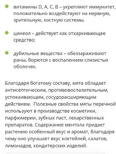 мята: Продаю мяту . Веточка мяты 5 сом . Доставка по городу 100 сом — 3