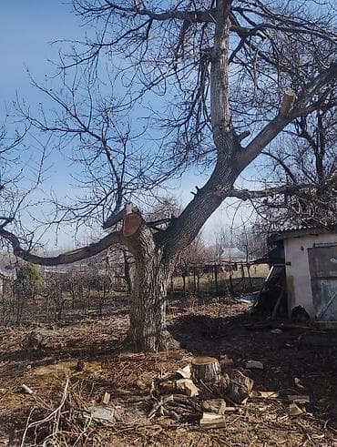 Жангак сатылат село джал at lalafo.kg Жангак сатылат село джал