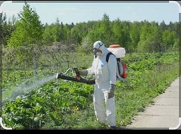 жалал абад полка: Аймактарды жыйнап тазалоо, Кар тазалоо, Уборка двора и сада, Фасад жуу — 2