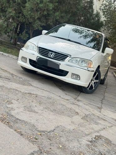 домик на колесо: Honda Odyssey: 2000 г., 3 л, Седан — 1