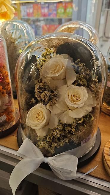 сплав розе: Подарок - живые розы которые не завянут даже через год!!! Роза в — 5