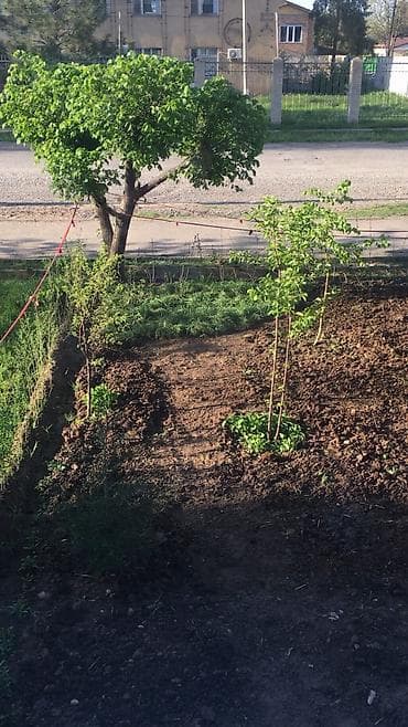 чортекова квартира: 4 комнаты, 88 м², 106 серия улучшенная, 1 этаж, Дизайнерский ремонт — 7