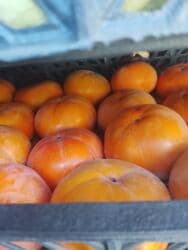 ведро эмалированное с крышкой 10л цена бишкек: Хурма в ящиках - Сорт: крупноплодная хурма (не вяжет при полной — 21