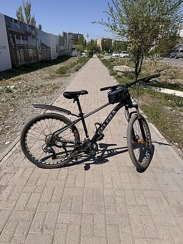 format diski: Горный велосипед, Geleda, Сталь — 2