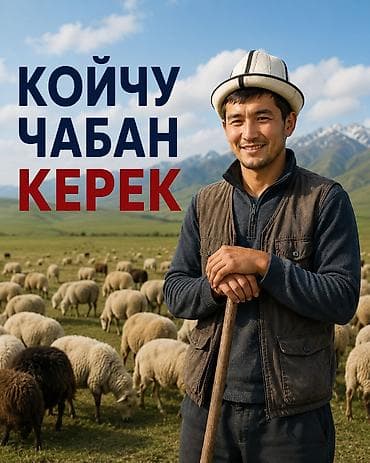 пастух ферма кашар: Требуется Пастух, Оплата: Сдельная — 1