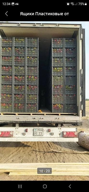 миск оптом: Ящик, Новый — 3