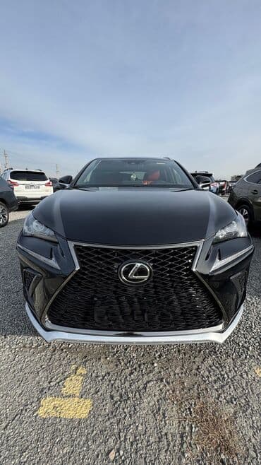 диск майнкрафт: Lexus NX: 2019 г., 2 л, Автомат, Бензин, Кроссовер — 2