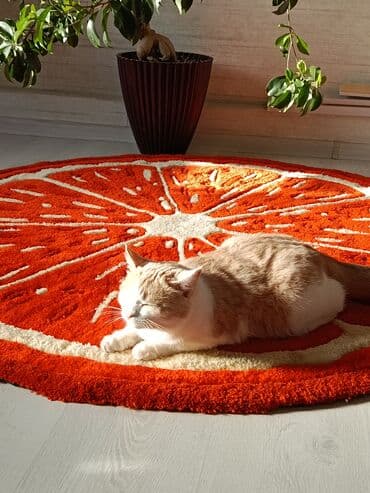 дом ковров бишкек: Килем Жаңы, Тафтингдик, Акрил, Кыргызстанда жасалган, Накталай эмес/накталай төлөм — 9