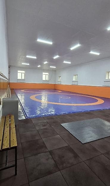 аренда логан: 350 м², 4 комнаты, Бассейн, Видеонаблюдение, Евроремонт — 10
