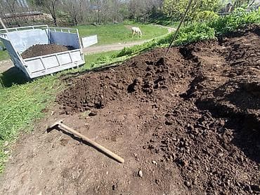 отходы для животных: В тоннах, Платная доставка, Портер — 4