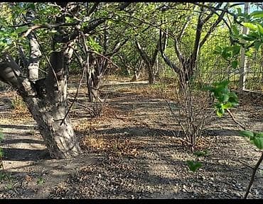 Продажа домов: Продаётся дача — 5