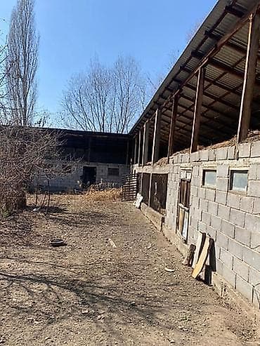 первый май: 24 соток, Для бизнеса, Красная книга, Тех паспорт, Договор купли-продажи — 4