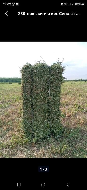 наполнители для кошек: Сено в тюках - Прямоугольные тюки, перевязанные шпагатом/проволокой — 1