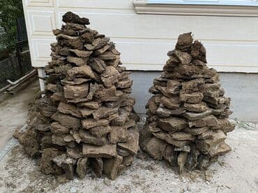 кумыс с медом бишкек: Продаю кизяки!!! Тезек сатылат!!! Качество 100% Сухие-100% — 1