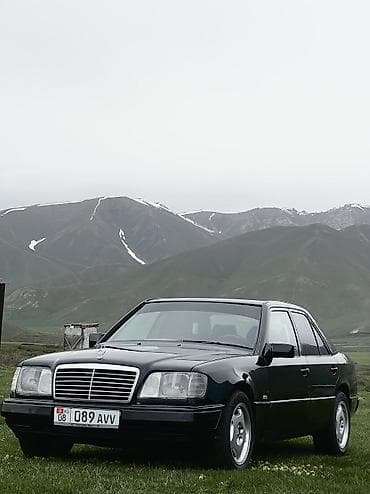степ эреф 1: Mercedes-Benz E-Class: 1993 г., 2.2 л, Кол менен иштөөчү, Газ, Седан — 1