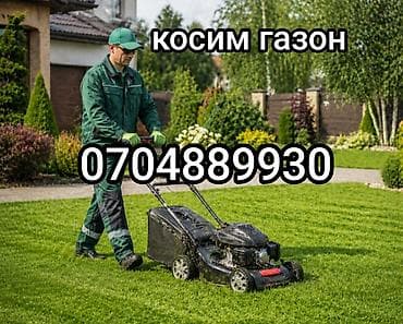Уборка территории, Стрижка газона