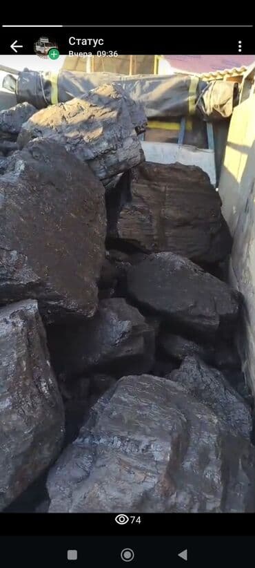 Садовые инструменты и инвентарь: Каменный уголь крупной фракции - Тип: каменный уголь, кусковой — 2