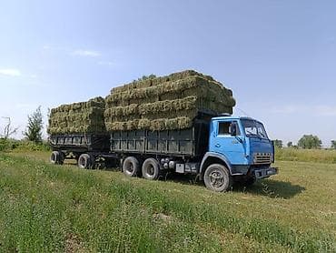 Прицеп, Камаз, Самосвал