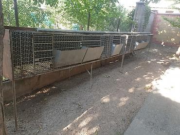 Продаю кролятники полностью железные с кормушками и матачниками. Один at lalafo.kg Продаю кролятники полностью железные с кормушками и матачниками. Один