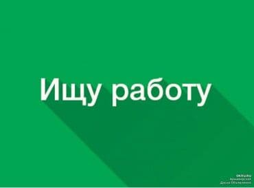Тармактык маркетинг: Услуга: поиск работы Кандидат активно ищет трудоустройство. Готов — 1