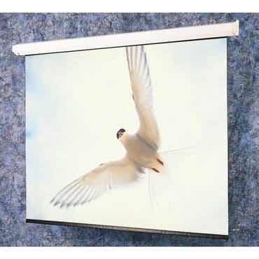 аренда проектора бишкек: Экран для проектора моторизированный 3м 60см — 1