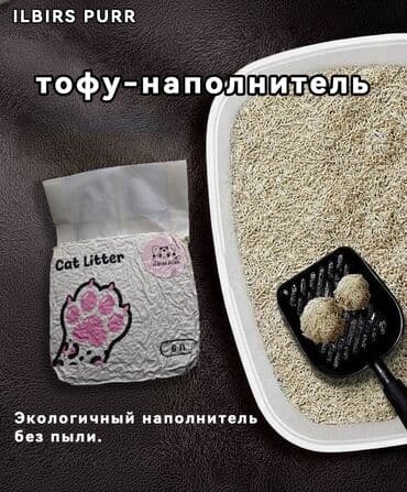 Ветеринар кызматы: Премиальные наполнители для кошачьего туалета в Бишкеке 🐾 Чтобы дома — 1