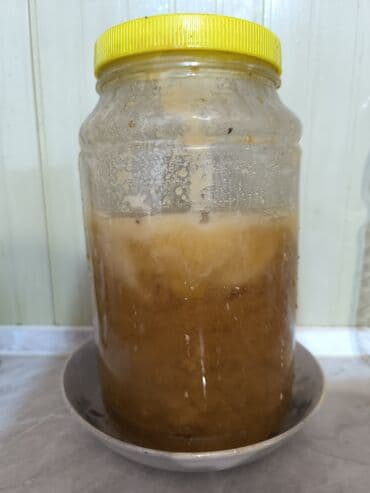 домашняя еда на заказ бишкек: Остаток меда в банке 2840кг, цена за все 1000сом - Подходит для чая — 2