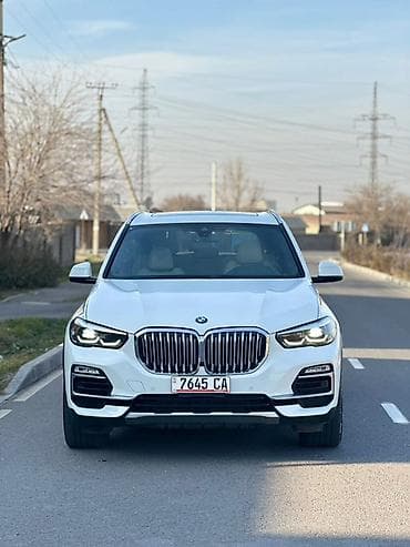 fort focus: BMW X5: 2019 г., 3 л, Автомат, Бензин, Кроссовер — 1