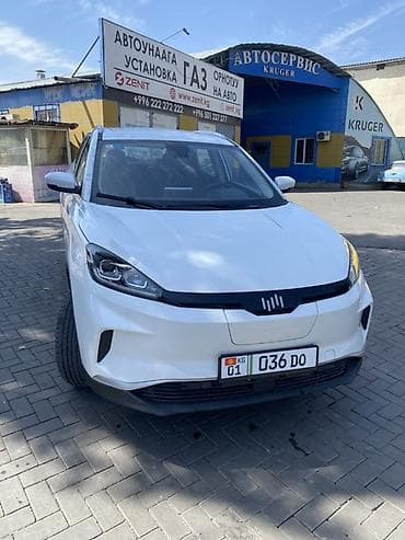 byd e7: Weltmeister EX5, 2021 г. — 1
