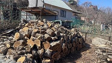 драва отун: Дрова — 2