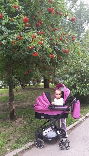 прогулочные коляски для детей инвалидов: Балдар арабасы, түсү - Кызгылт, Колдонулган — 2