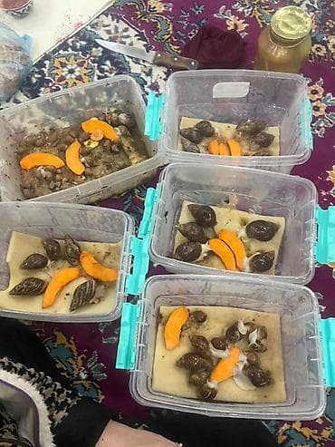 Домашняя мини-ферма улиток в контейнерах - Пищевые пластиковые