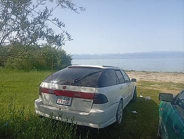 соната жёлтый: Honda Accord: 2000 г., Механика, Универсал — 2
