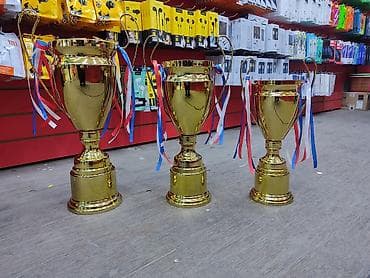 кубки: Кубок Лига Чемпионов!!!
Железный
А.(42см) 
В.(37см) 
С.(32см) — 1