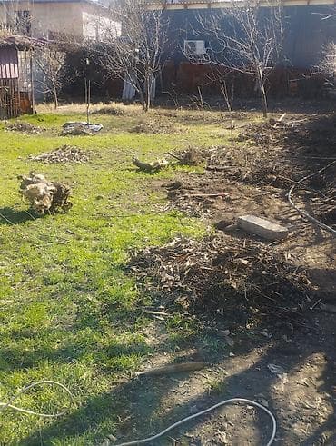 уборка двор: Уборка территории, Уборка двора и сада — 6