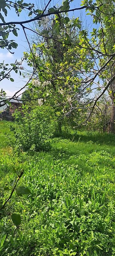 ош ишкаван: Продаётся земельный участок с домом в зелёной сельской местности. 8 — 3