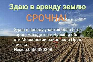 земельные участки ак ордо: 500 соток Для сельского хозяйства — 1