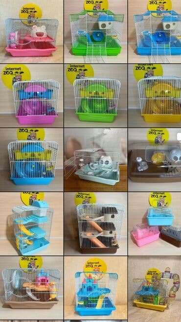 морской свин: ХОМЯЧОК+КЛЕТКА с поилкой, кормушкой, беговое колесо+КОРМ+ОПИЛКИ. Весь — 6