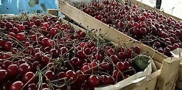 Свежие сезонные ягоды и фрукты Иссык-Куля прямо из сада Ассортимент — 2
