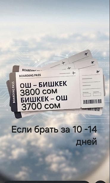 Автобус — 1