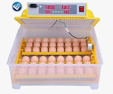 керосиновые лампы: Мини инкубаторы, на 48 яиц На 48 яиц на 98 яиц так же — 6