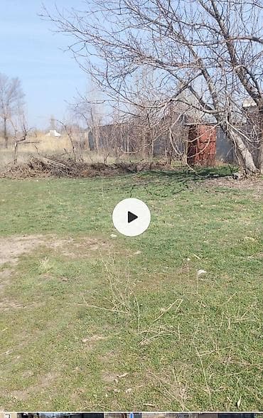 калыс ордо 1: 4 соток, Курулуш, Кызыл китеп — 2