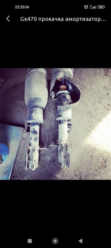 бакту долонотуу: Без выезда — 6